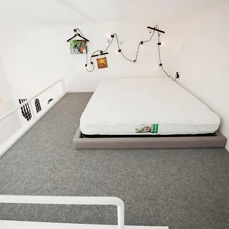 Get Lights And Books In Flat Appartamento *